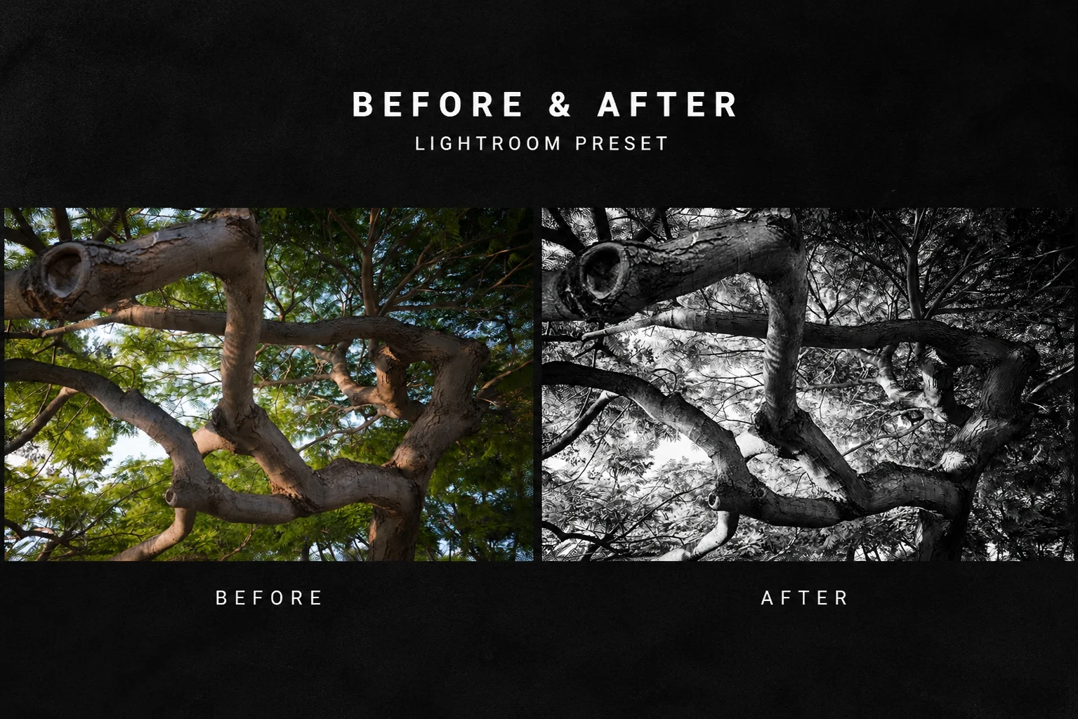 Gefen Lightroom Presets Vol. 3 product image (4)