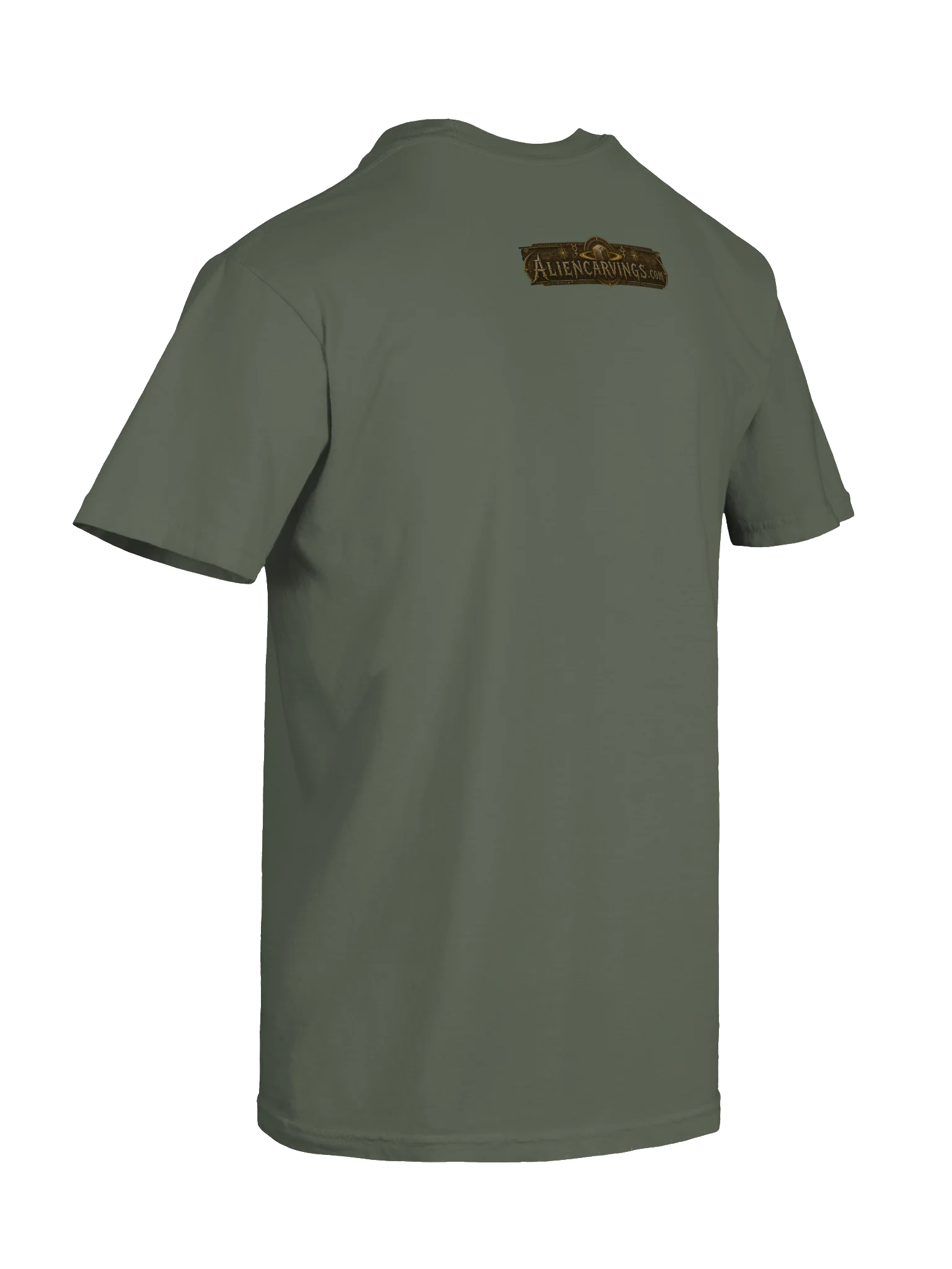 Feline DNA Pyramid T-Shirt product image (8)