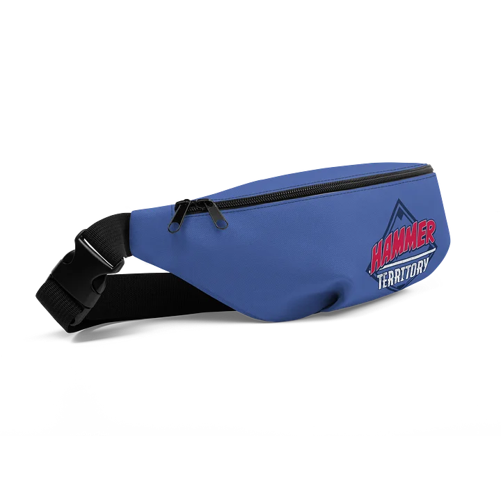 Fanny Pack product image (2)