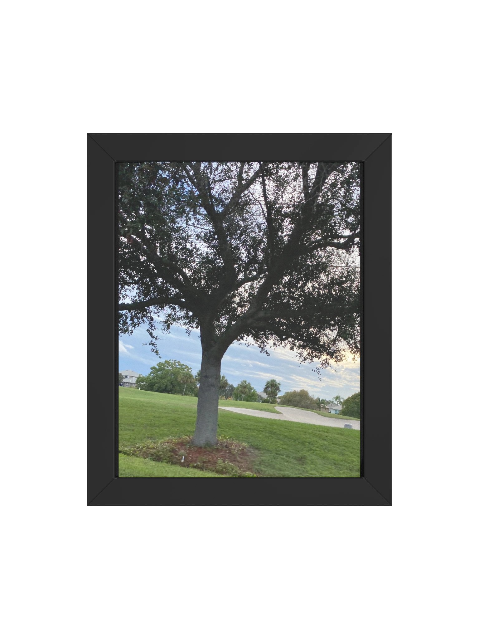 Tree of Life (poster) product image (12)