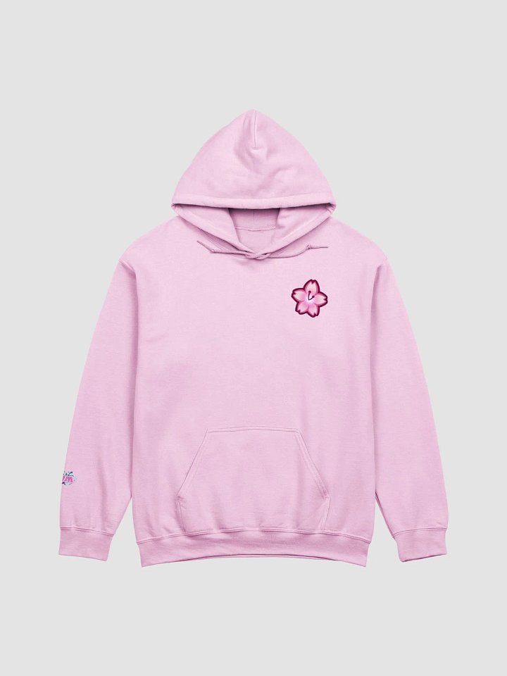 THE HOT MESS EXPRESS | HOODIE product image (1)