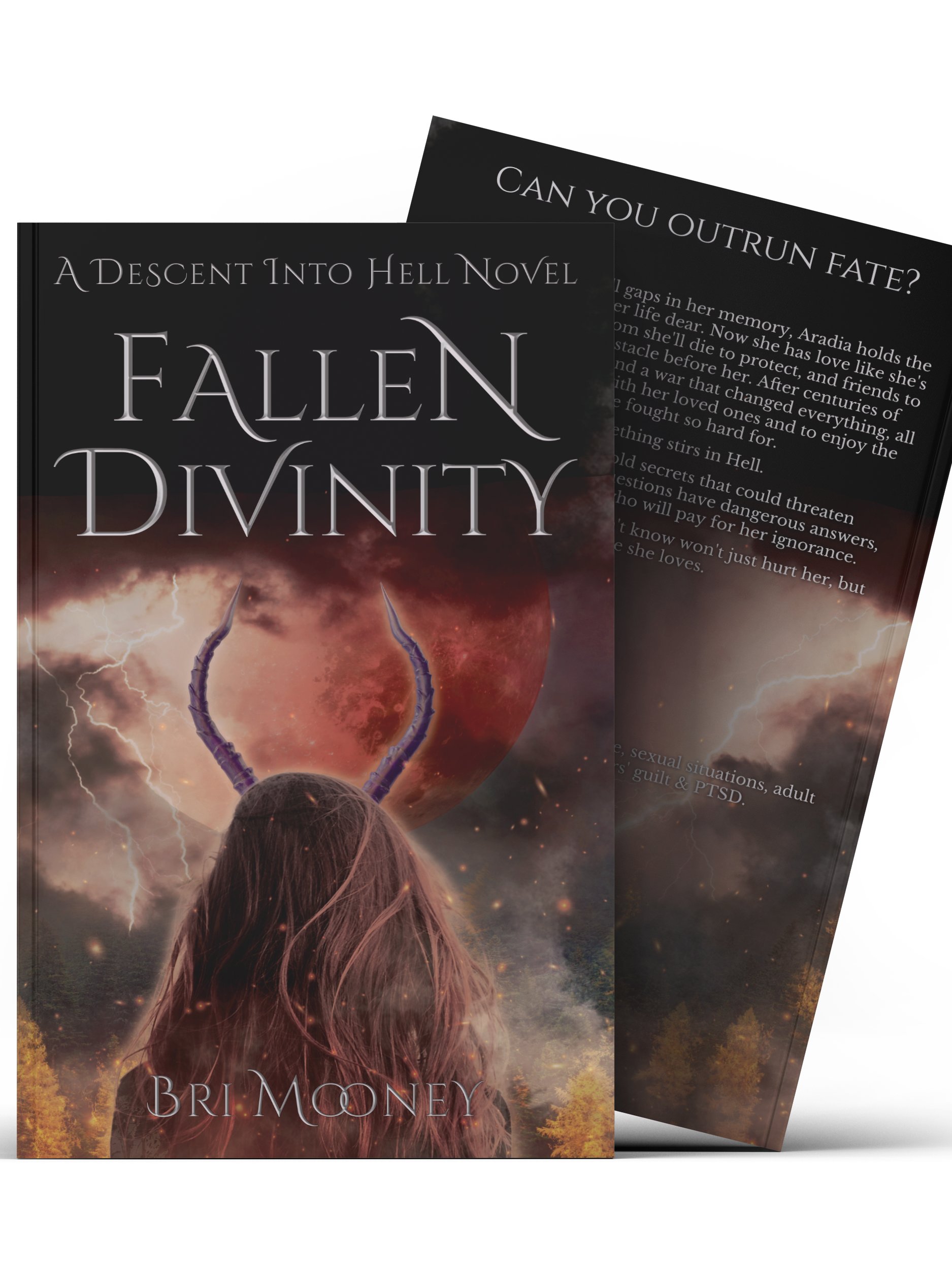 Fallen Divinity | Descent into Hell book 2 Paperback product image (2)