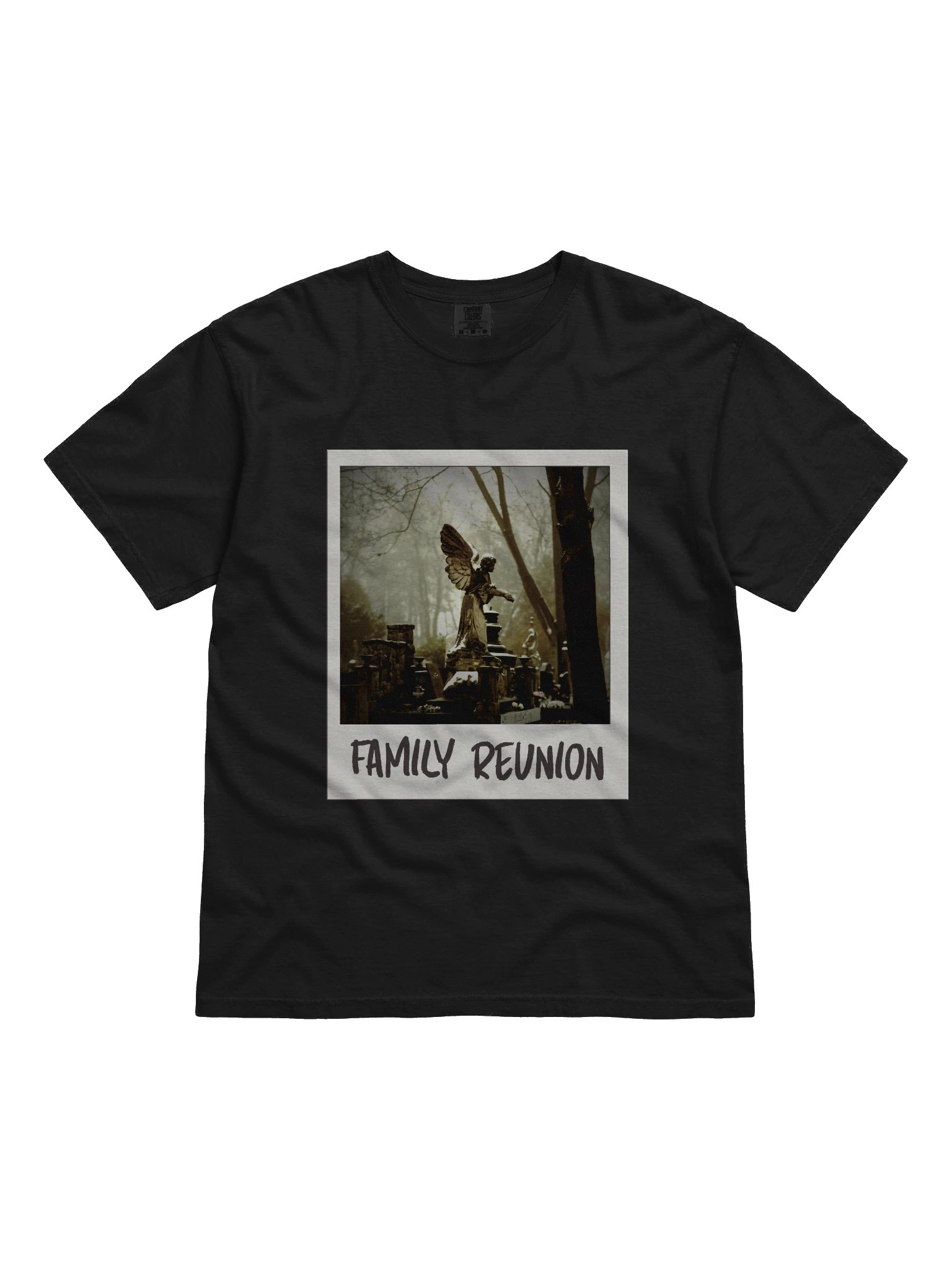 Family Reunion Heavy Shirt product image (1)