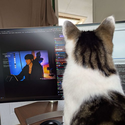 I am so blessed to have an audience of cats. 
Thank you for making my cat influencer dreams come true in 2025
*knocks phone o...