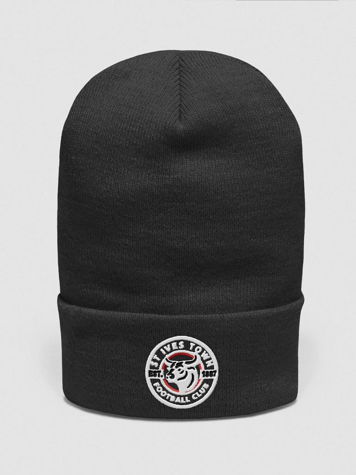SITFC Classic Beanie product image (5)