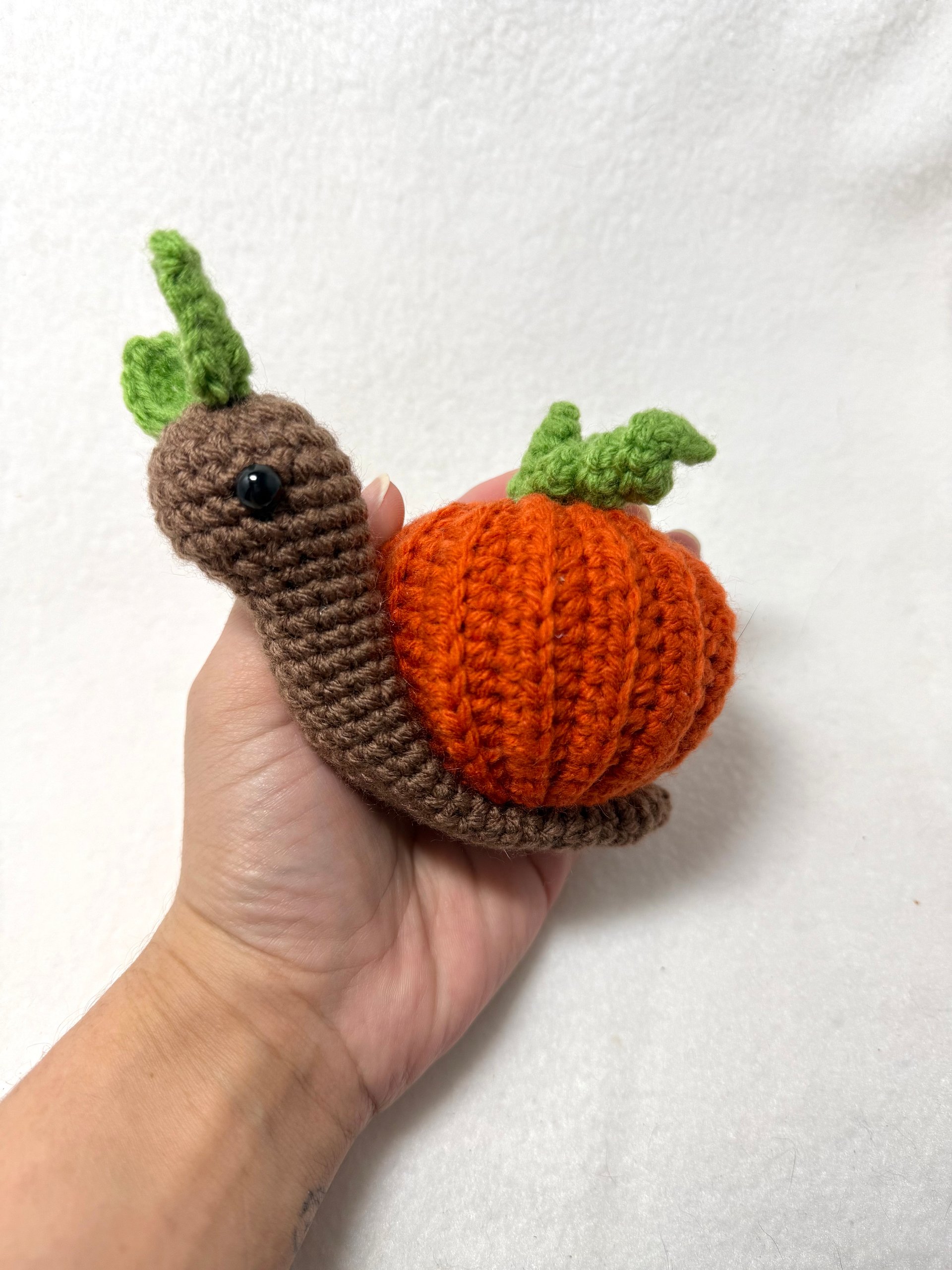 Pumpkin Snail product image (2)