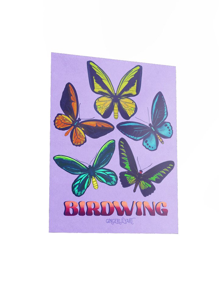 birdwing butterflies poster product image (2)