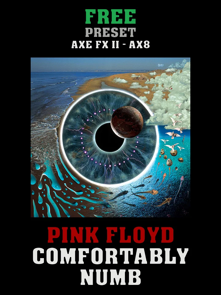 Pink Floyd - Comfortably Numb (PULSE) | Free Preset | Axe FX II - AX8 product image (1)