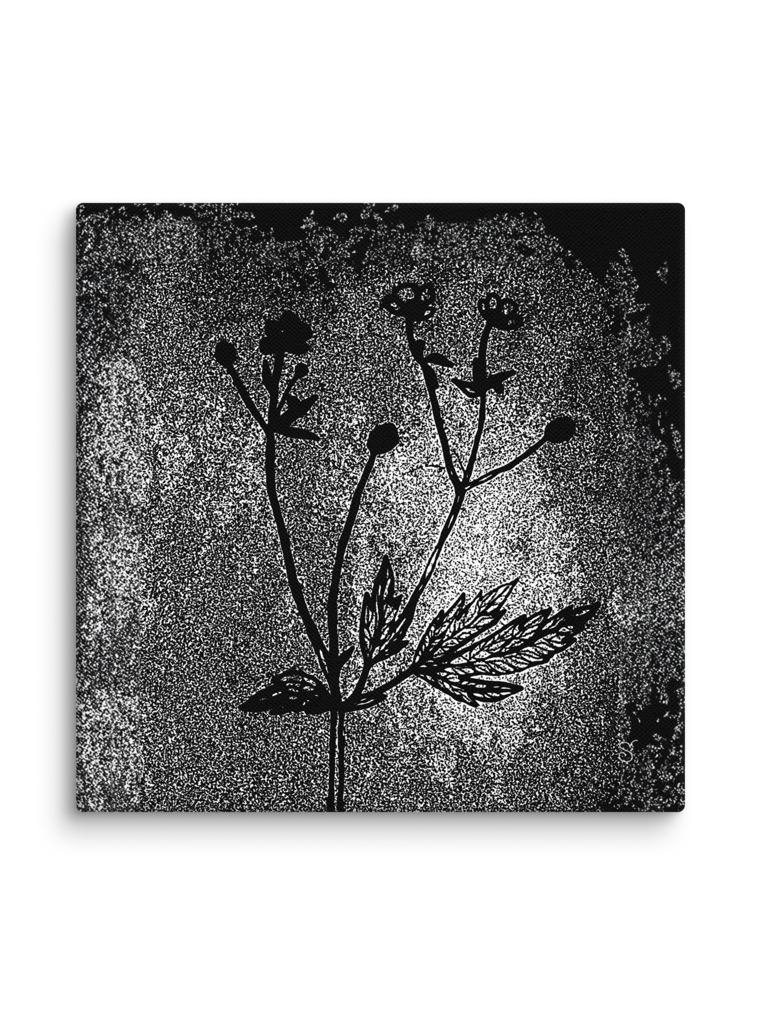 Visionary Canvas Collection - Wild Flowers Dark Stylish product image (2)