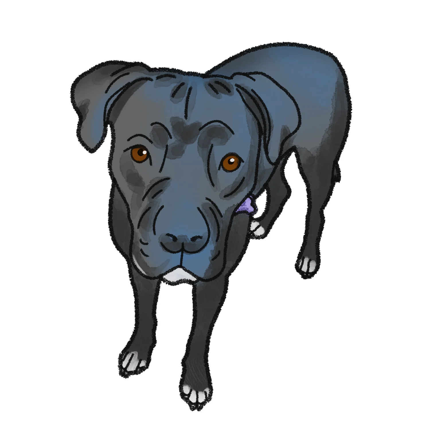 Custom Pet Stickers! product image (4)