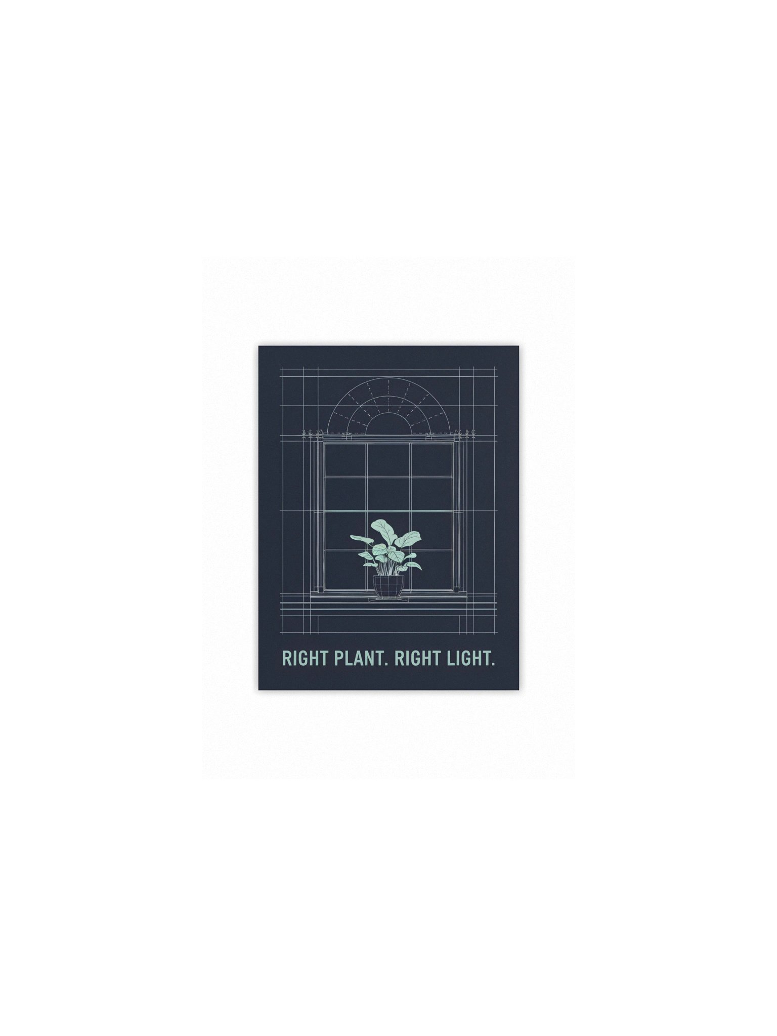 Right Plant. Right Light. — Print product image (1)