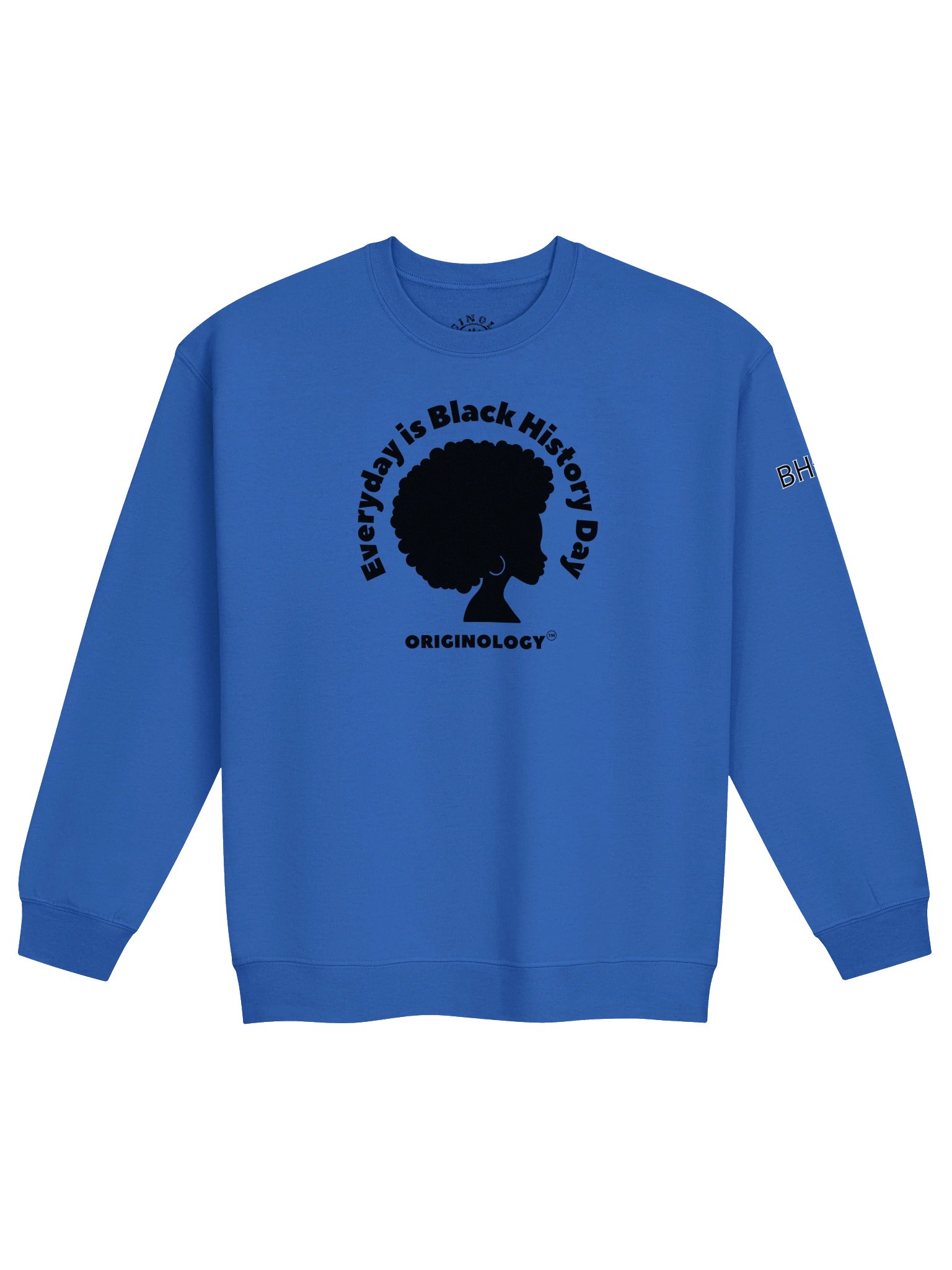 Everyday is Black History Day BLK | Sweatshirt | Originology | Black History X product image (1)