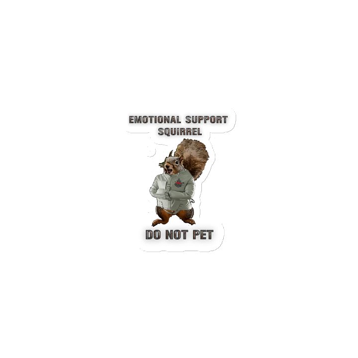 Emotional Support Squirrel - Magnet product image (1)