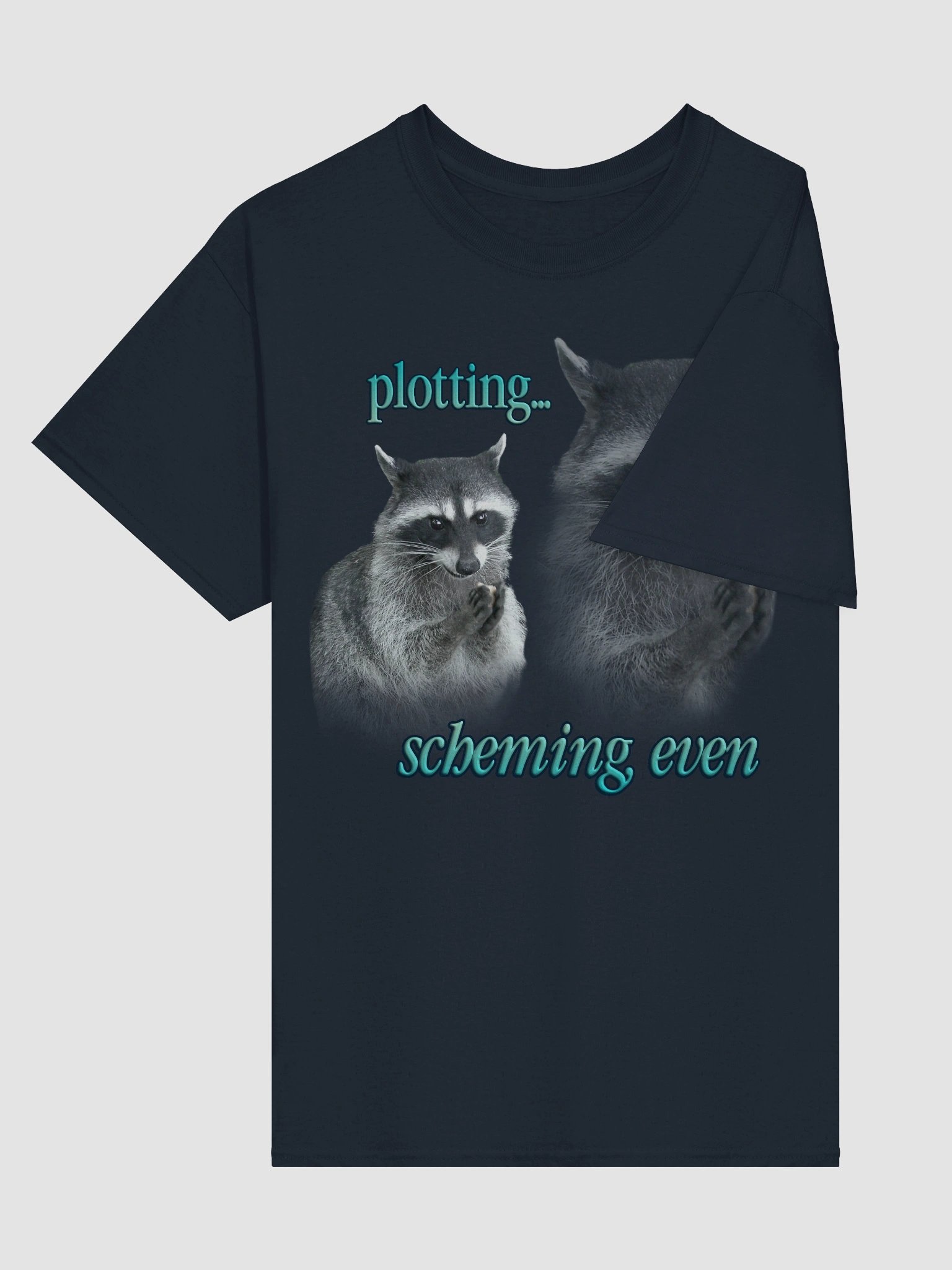 Plotting & Scheming Raccoon T-Shirt product image (4)
