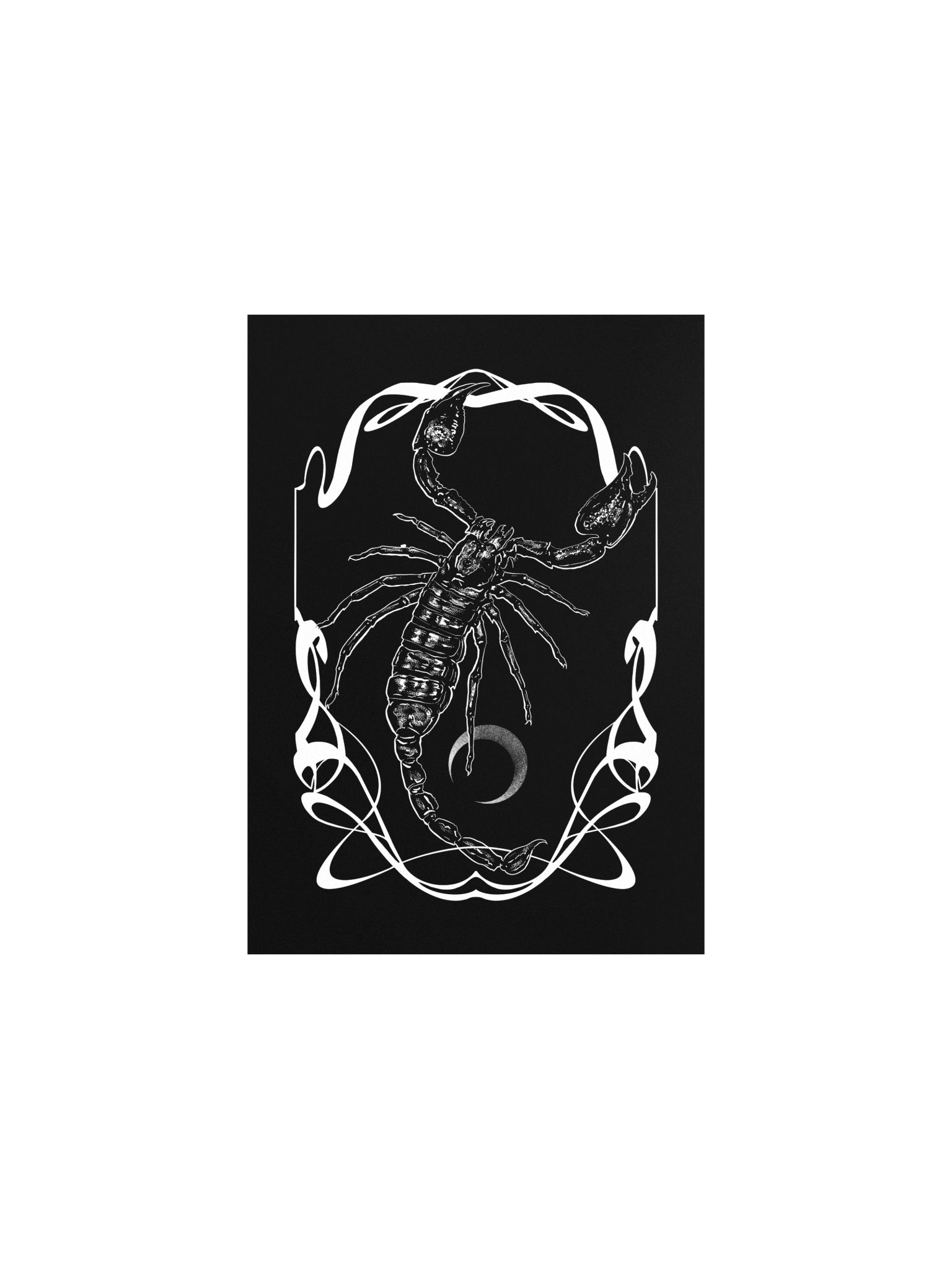 Emperor Scorpion Print product image (2)