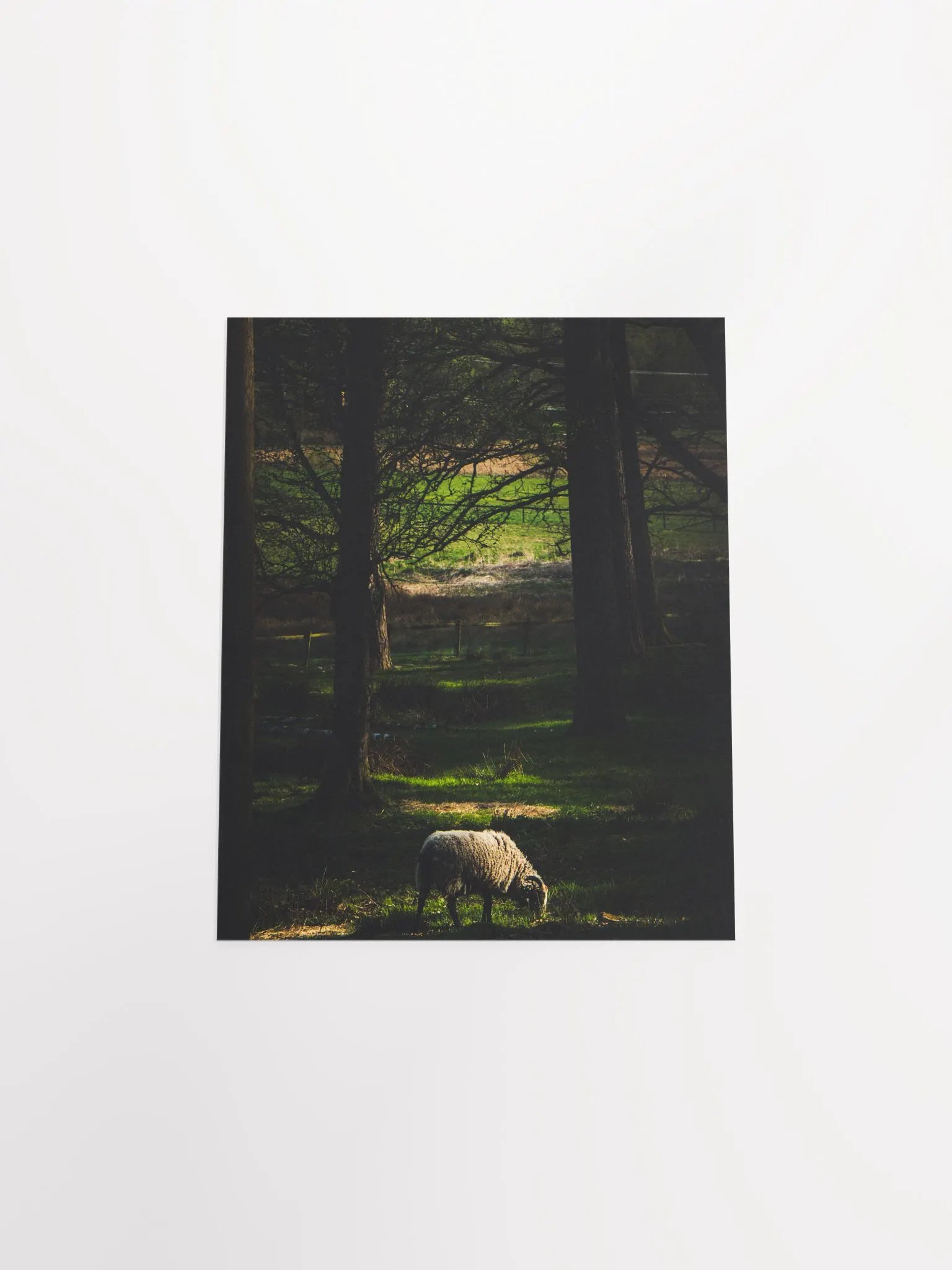 The Goat product image (12)