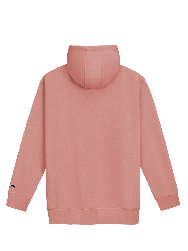 BLACK LION CHAMPION HOODIE product image (12)