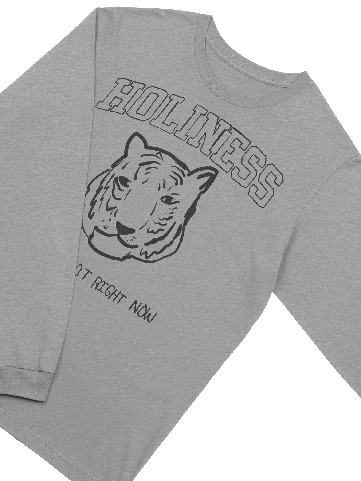 Holiness is so hot right now College Parody Tee product image (3)
