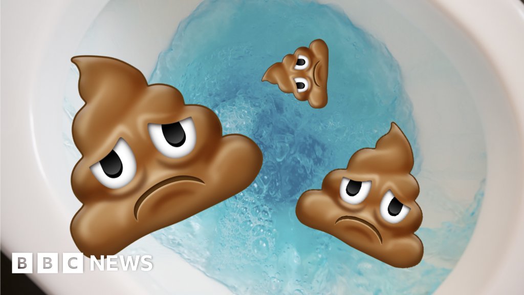 SHITISM COMEDY SERIES #2 - Shit happens & the moral of the shtory product image (1)