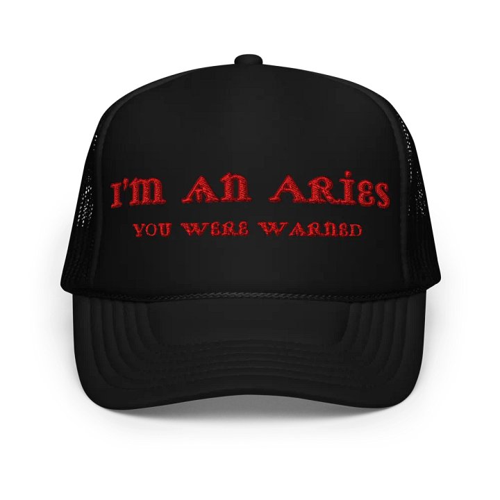 Aries 2025, You Were Warned (Word Only), Embroidered Trucker Cap product image (1)