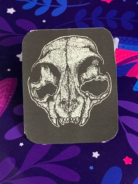 Cat Skull product image (1)
