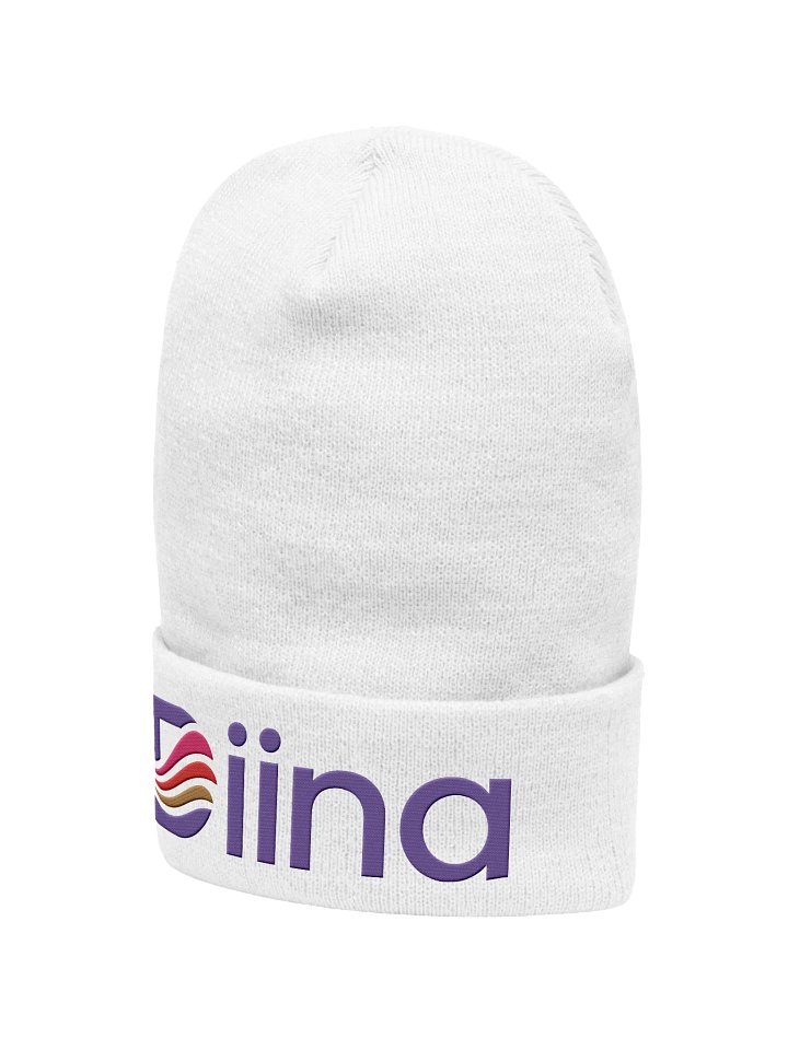 Diina Logo Embroidered Beanie product image (2)