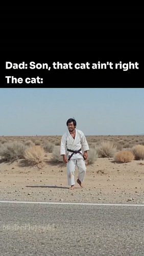 😂😂😂

Follow @misterfluffyai for more!

Mister Fluffy Noooo!

Yes

#misterfluffy #aicat #meme #explore