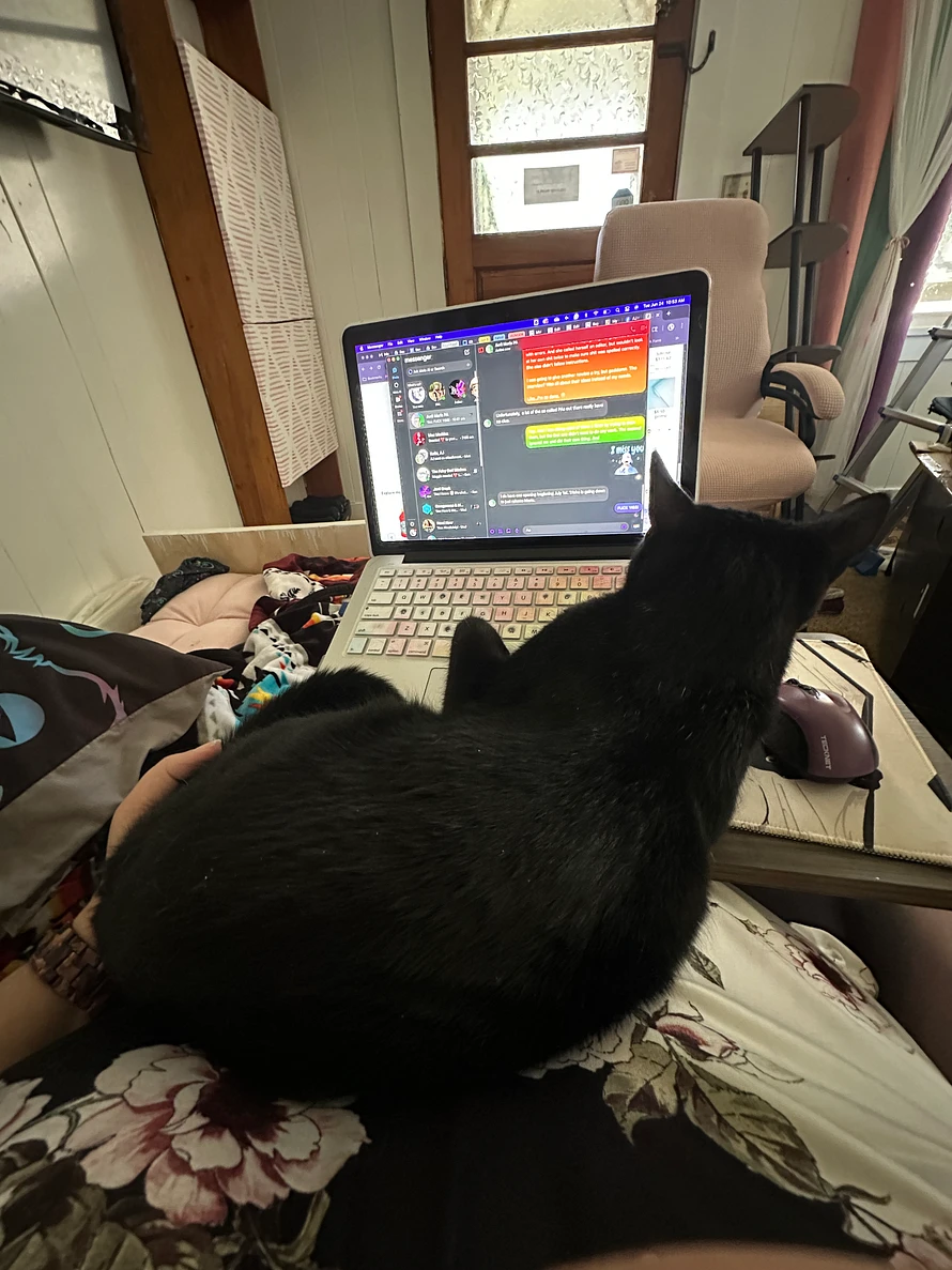 Mocha is laying on my belly, paws and shoulder on the laptop's keyboard to ensure all attention is on her, and not on my Messenger. Again, the house is a disaster zone from redecorating now that the walls are taken care of.