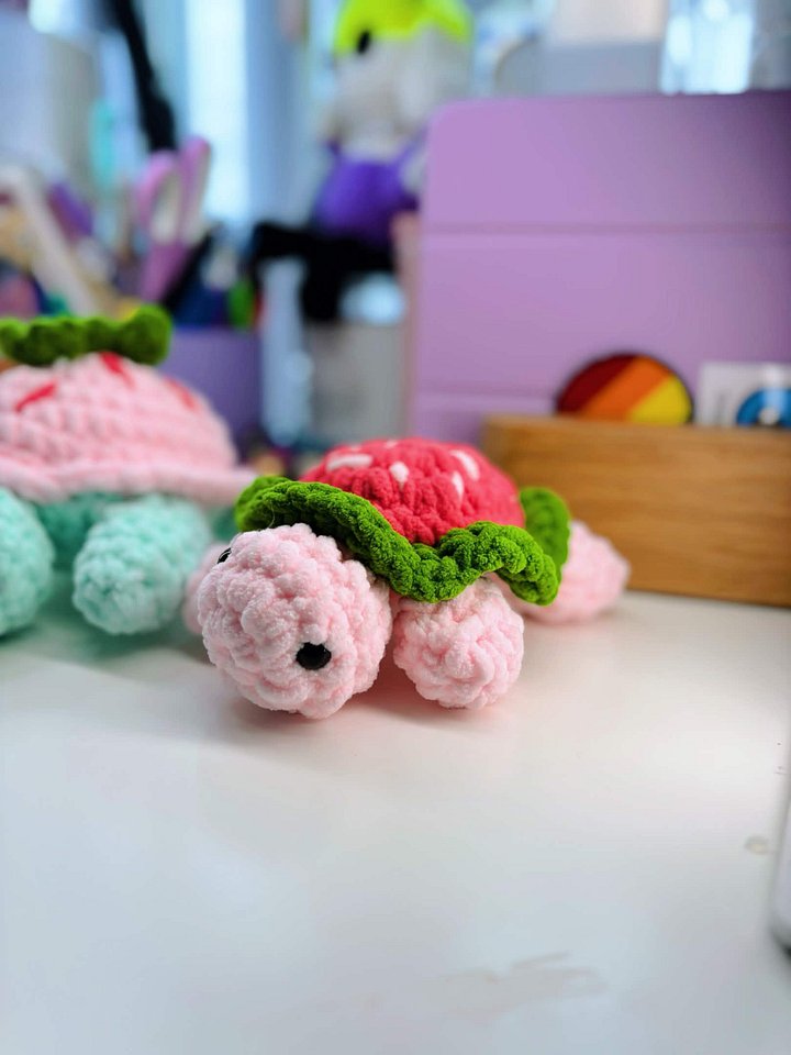 Copy of Strawberry Turtle (small) product image (1)