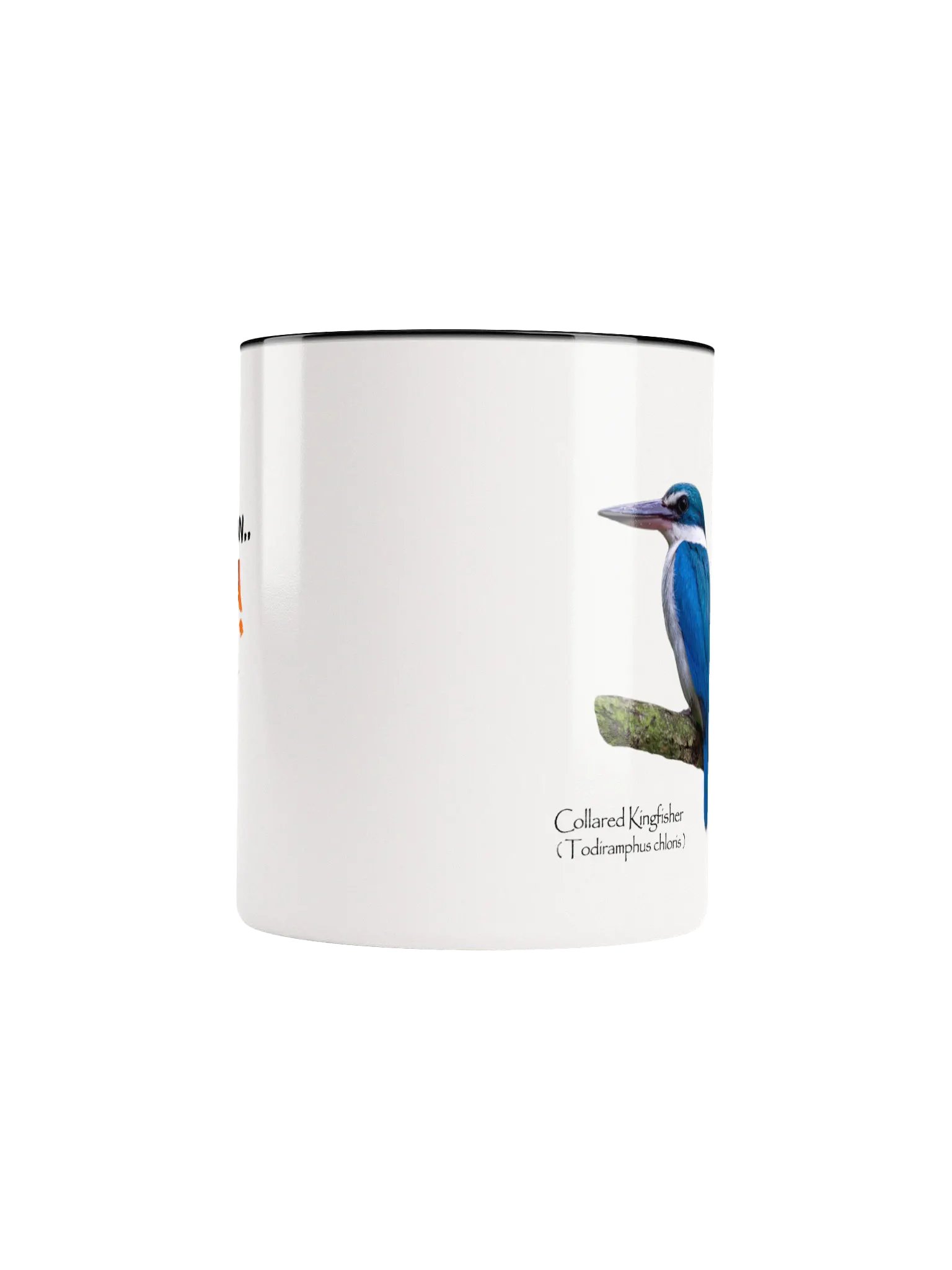 Collared Kingfisher mug product image (38)