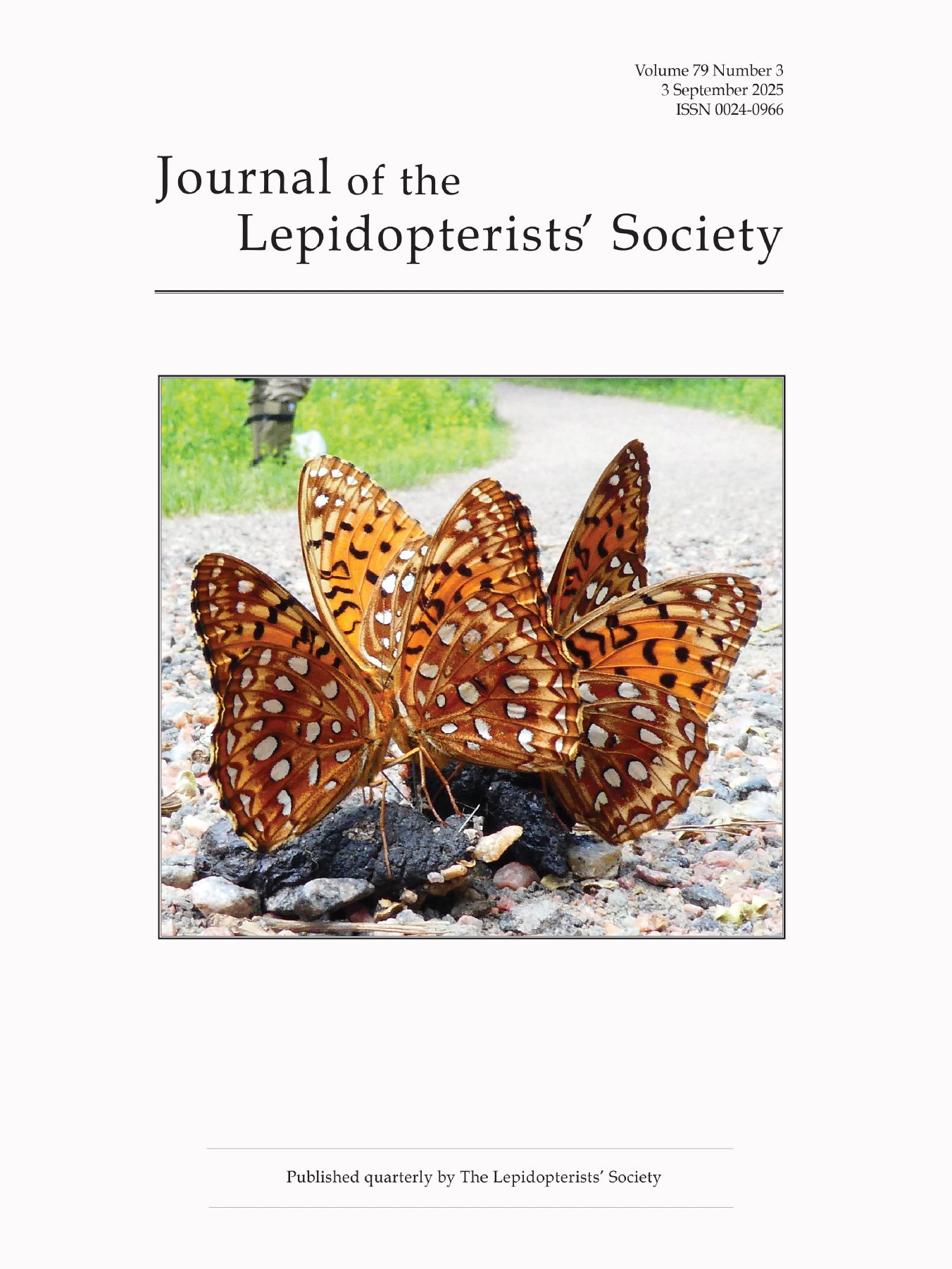 Journal 2025 #3 product image (1)
