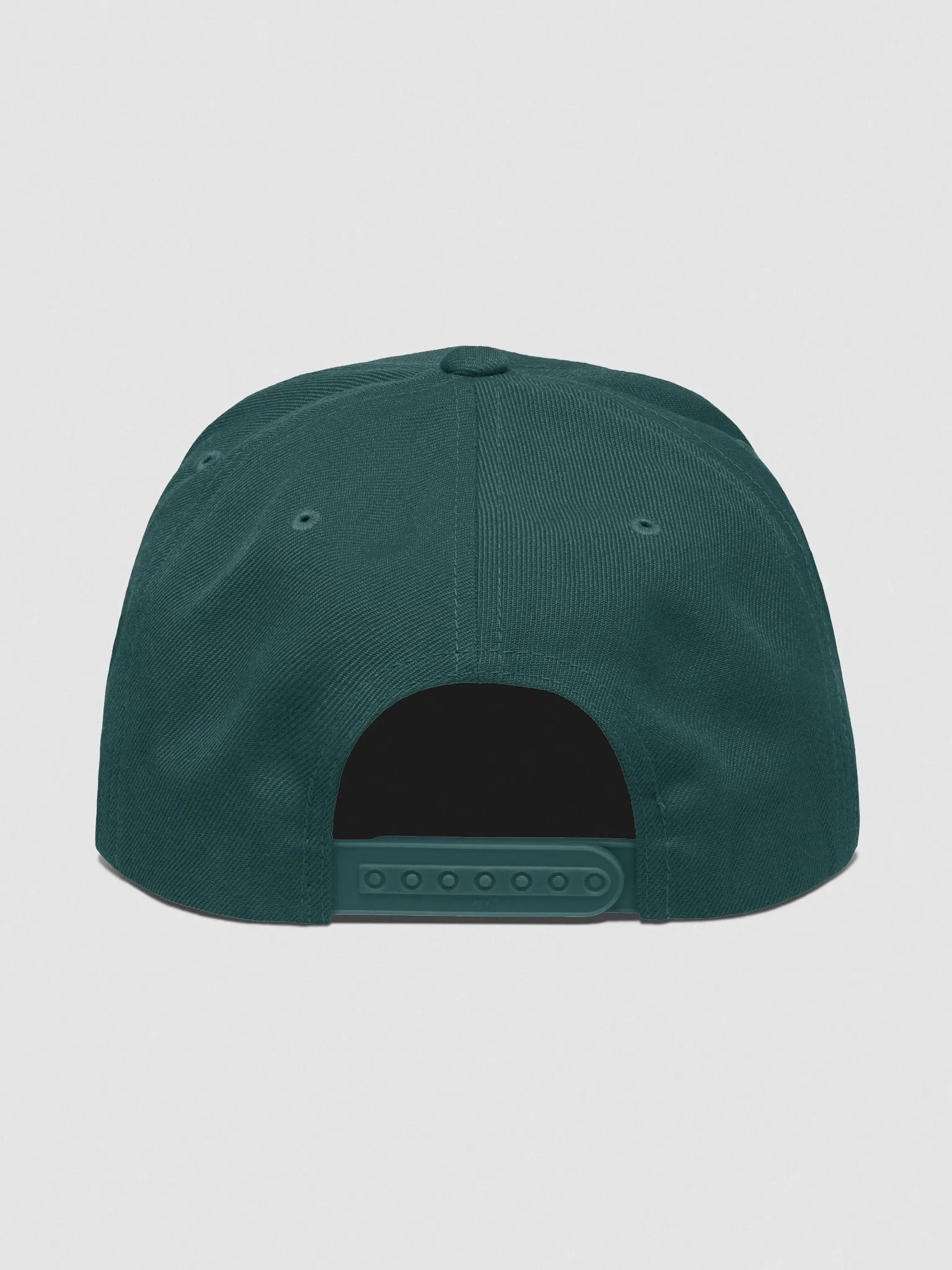 Mount Paw Snap Back product image (4)
