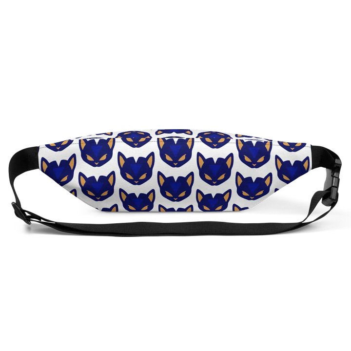 ISAG fanny pack! product image (1)