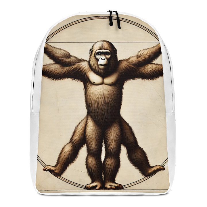 Backpack product image (1)