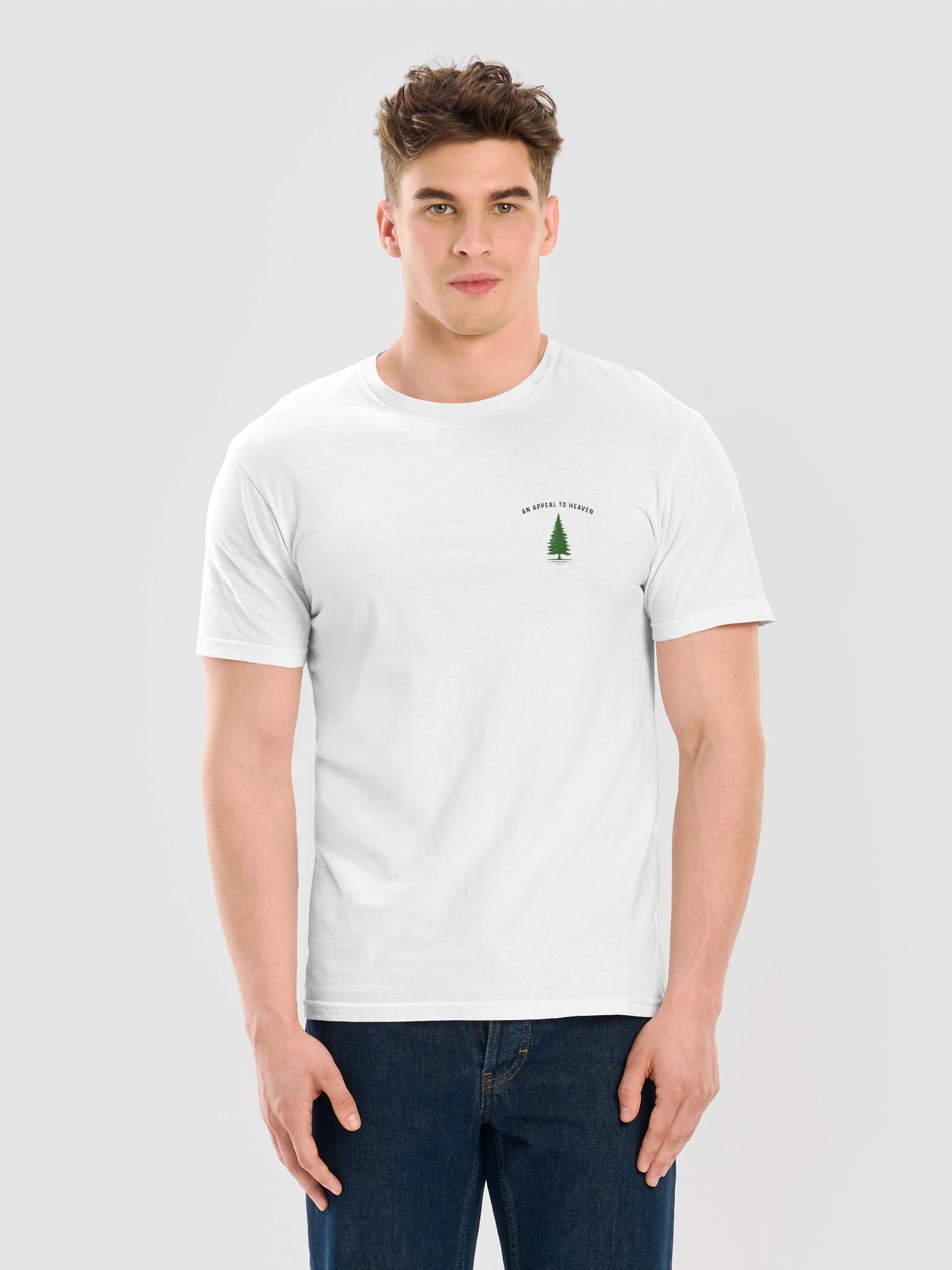Appeal to Heaven product image (11)