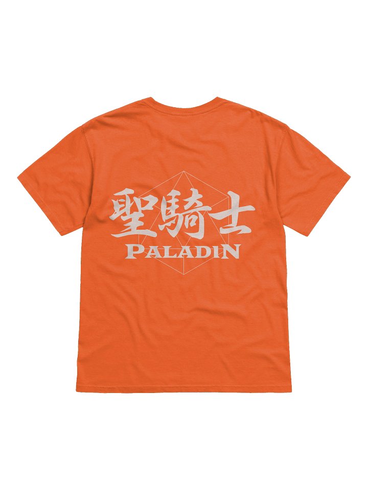 Dungeons and Dragons Paladin Class T-Shirt product image (2)