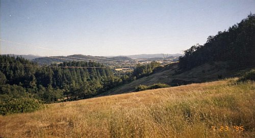 When I was 7 years old, I was hiking at Mt. Pisgah with my dad and friend. My dad had a disposable camera that you can only t...