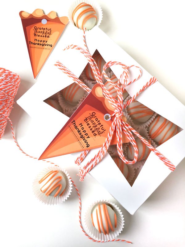 Grateful Thankful Blessed Thanksgiving Pumpkin Pie Gift Tag | Printable PDF Download product image (2)