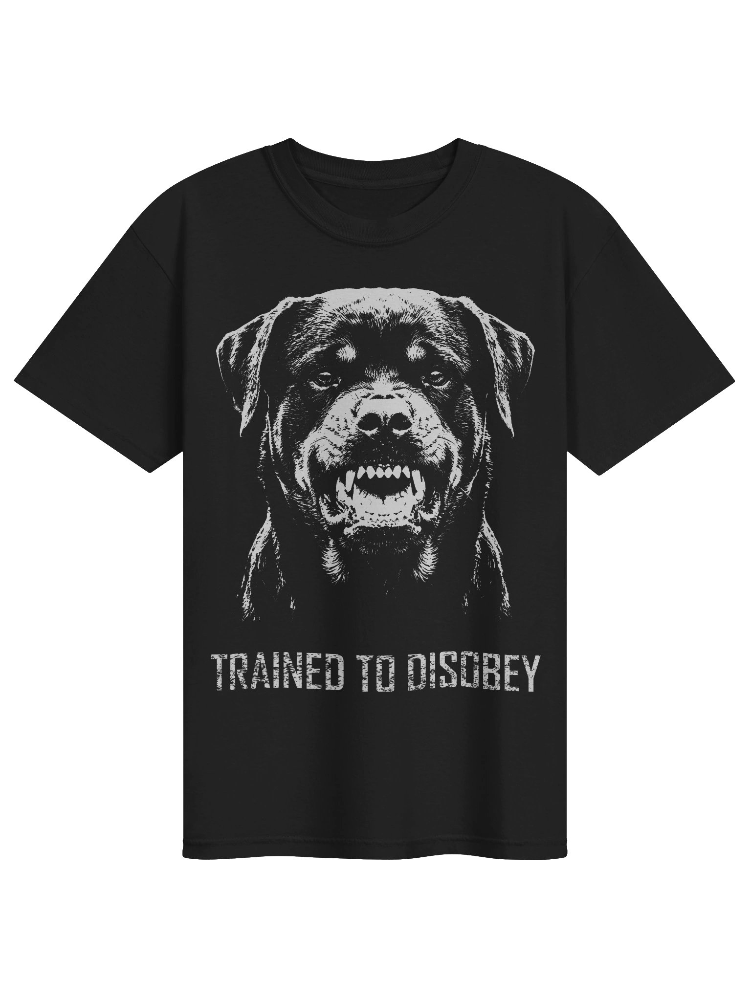Rottweiler Trained to Disobey Heavyweight Vintage Graphic Tee product image (1)