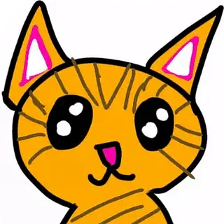 Noah The Cat