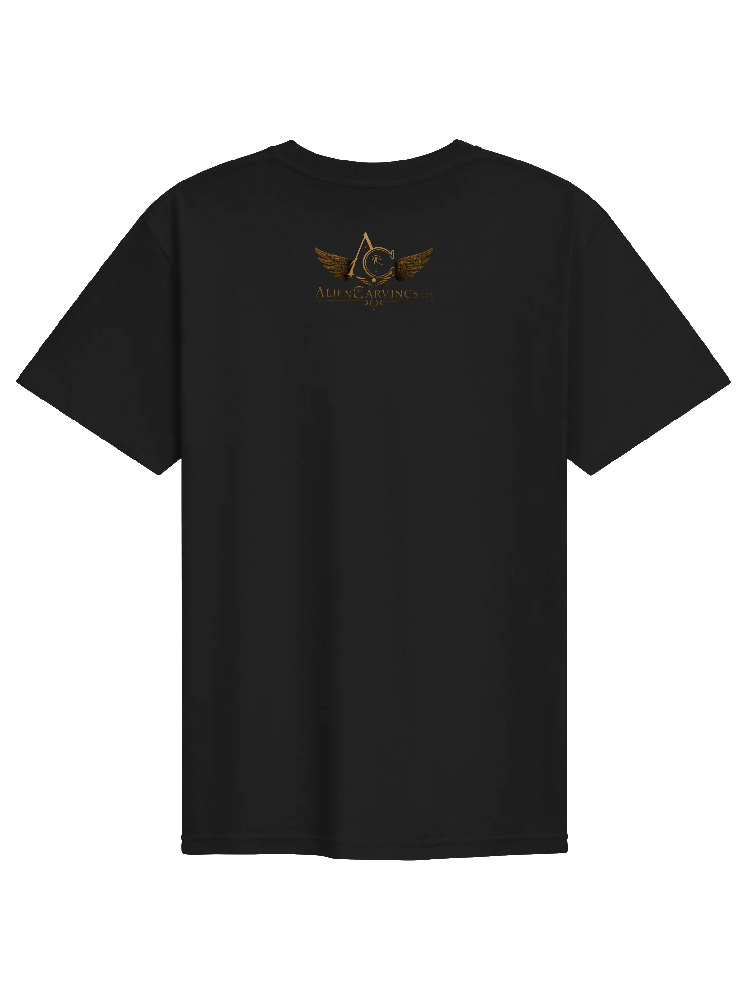 Order and Judgement Premium T-Shirt product image (2)