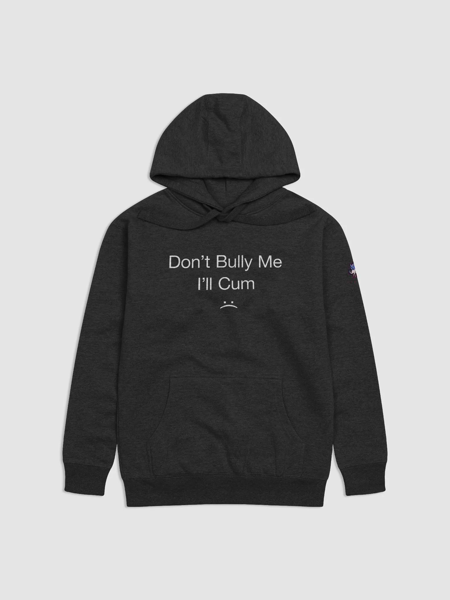 Bully Hoodie Dark product image (4)