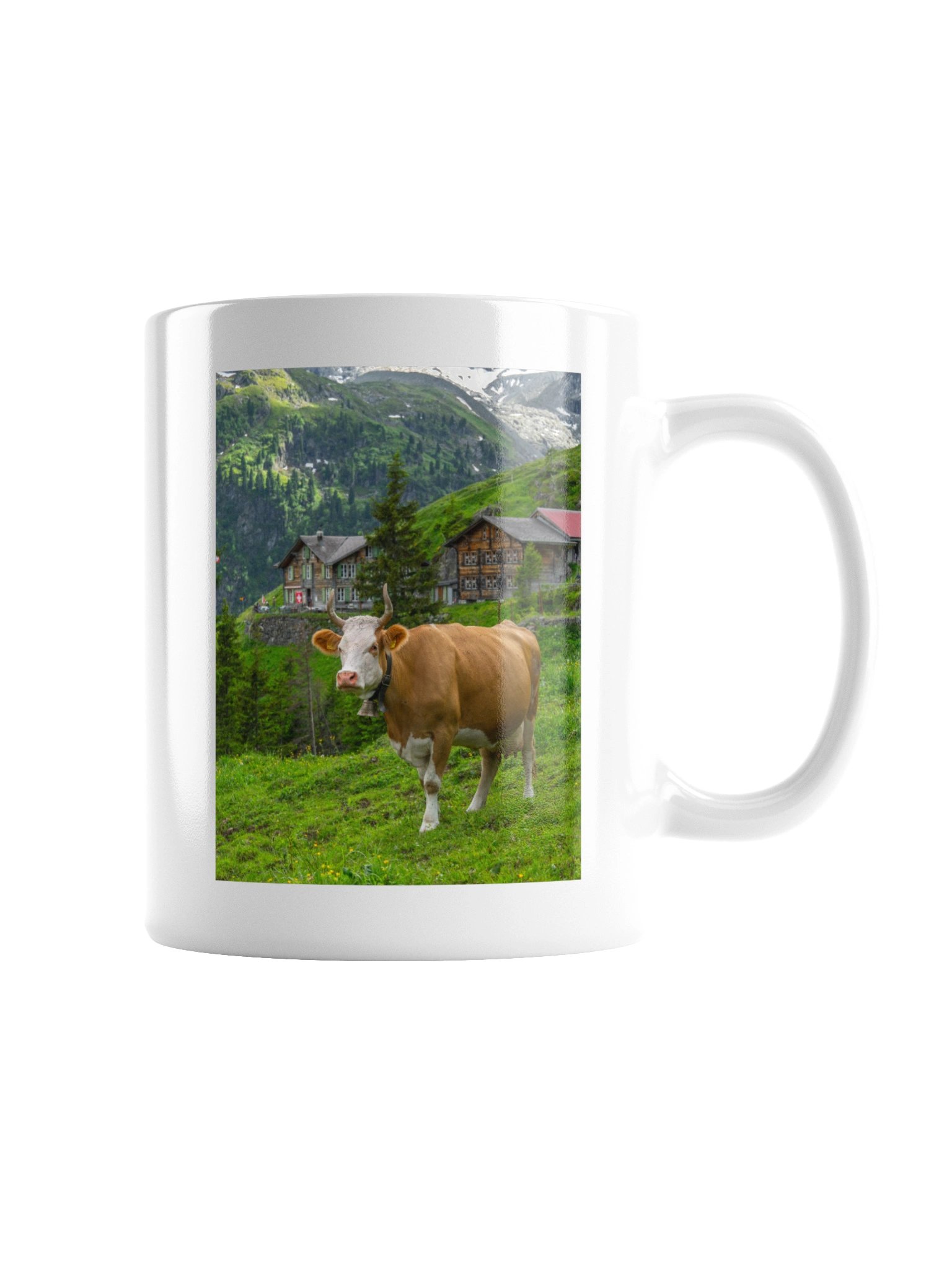 Cow in Obersteinberg product image (7)