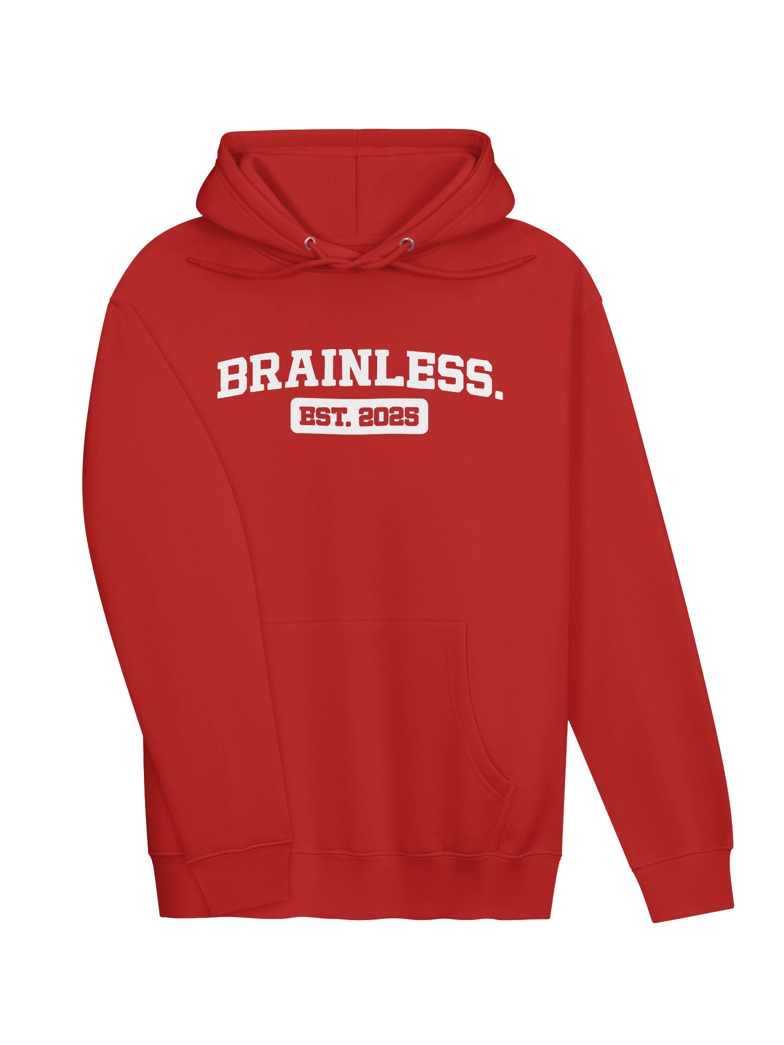 Brainless. Collegiate Hoodie (White Logo) product image (3)