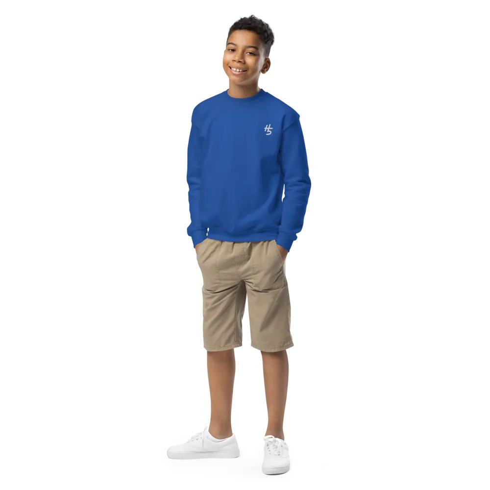 H5 Embroidered Logo Sweatshirt (Youth) product image (1)