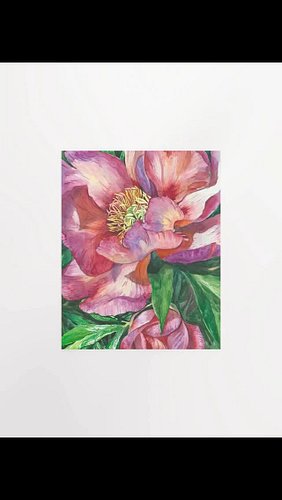 Vibrant Matte Paper Poster - Transform Your Space!

Elevate any room with our premium matte paper posters! Featuring vivid, w...