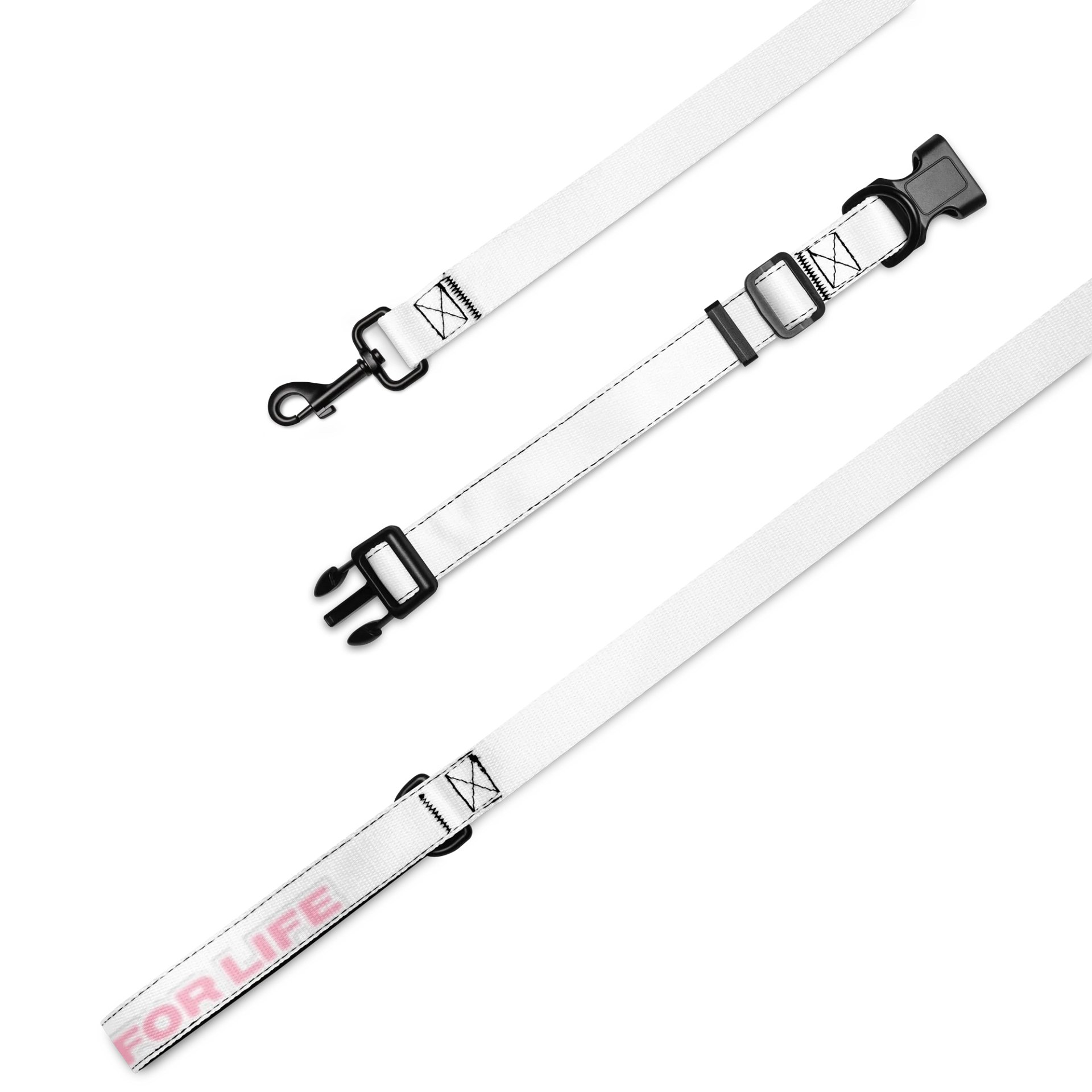 Ari's Collar & Leash product image (1)