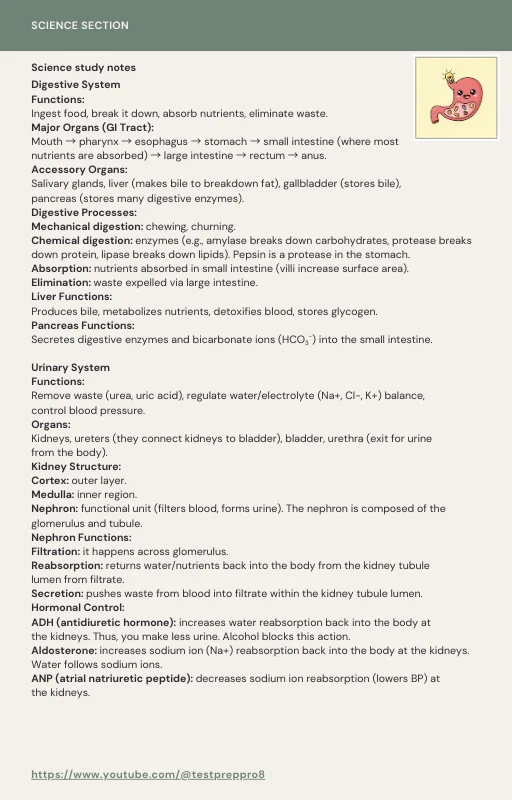 Essential TEAS Study Guide - 2026 product image (5)