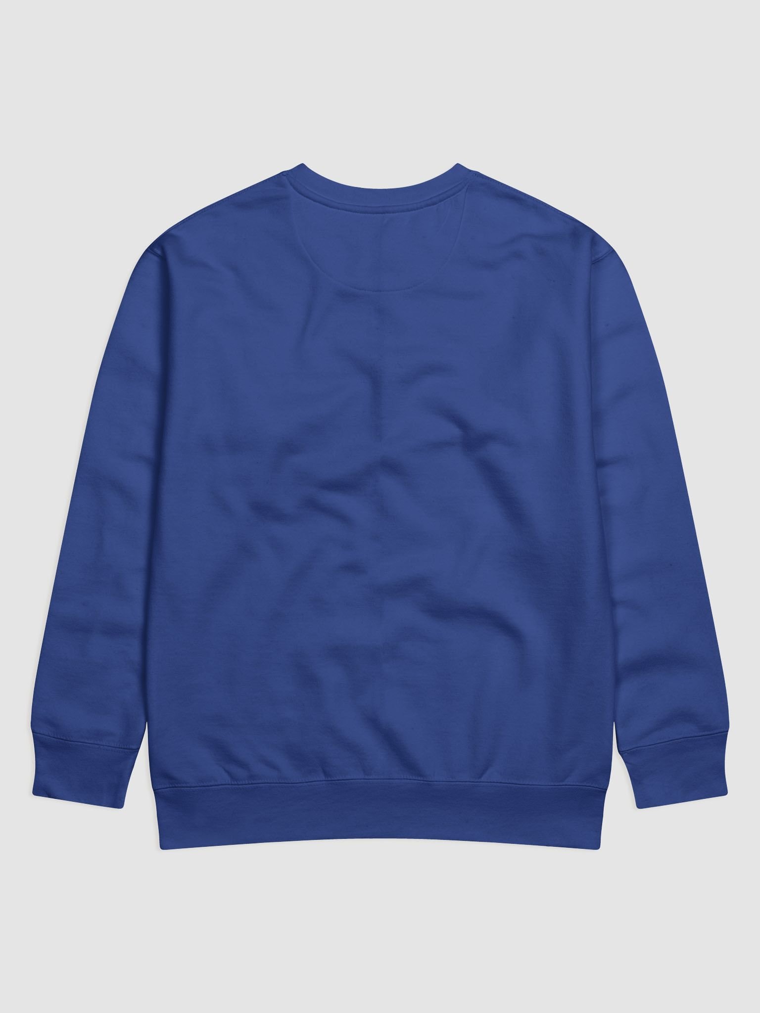 WOW! Echo Premium Sweatshirt product image (4)