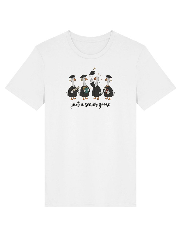 Graduation Ducks Organic Celebration T-Shirt product image (1)